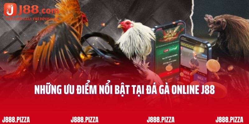 Những ưu điểm nổi bật tại đá gà online J88 