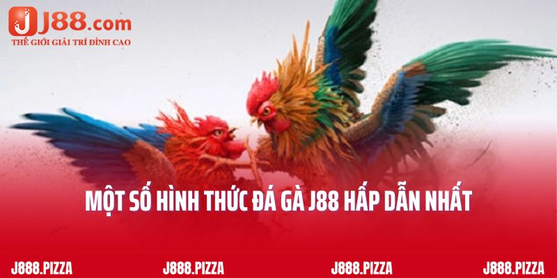 Một số hình thức đá gà J88 hấp dẫn nhất hiện nay 